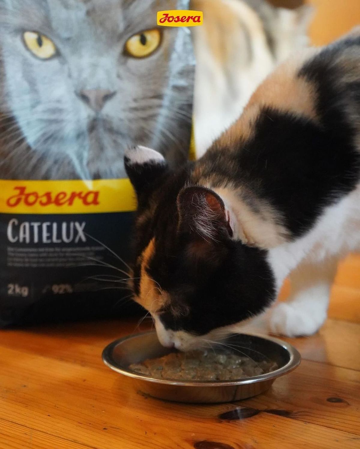 جوسرا کتلوکس