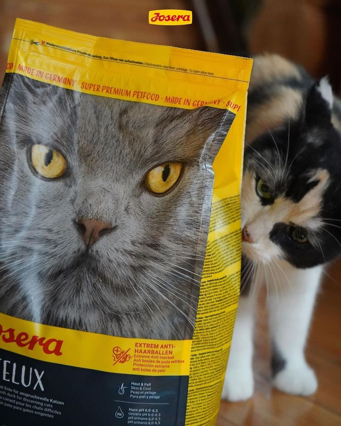 خرید و قیمت جوسرا کتلوکس